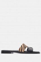 Зебра-Бежов