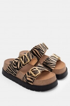 Зебра-Бежов