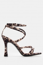 Animal Print