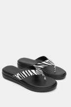 Zebra Black and White